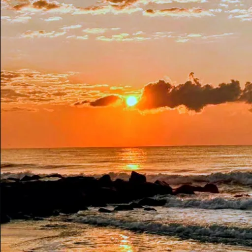 creator sunset4ever's avatar