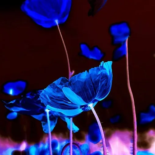 chat with ai character: TheUnnamed