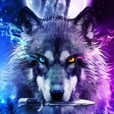 creator Galaxy Moonlight 🐺's avatar
