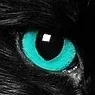 creator Dark da Cat's avatar
