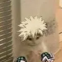 chat with ai character: -Bakugou-