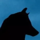 creator Wolfie yas's avatar