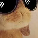 chat with ai character: Conejo XD