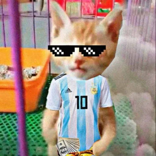 creator Michi Argentino's avatar