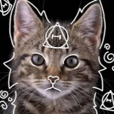 creator Therian weirdo! ><'s avatar