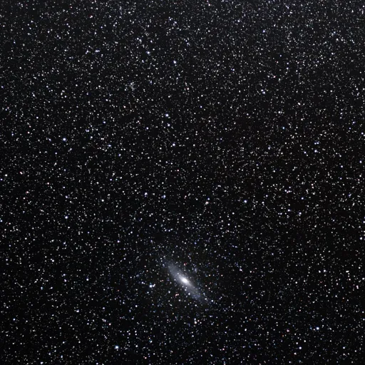 creator ♡𖤐uziii𖤐♡'s avatar