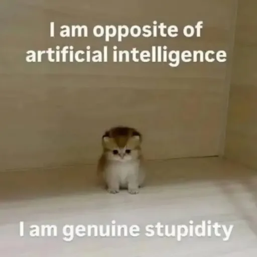 creator Just a Cattt's avatar