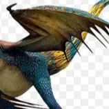 chat with ai character: Stormfly