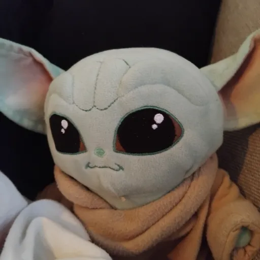creator yoda boda's avatar