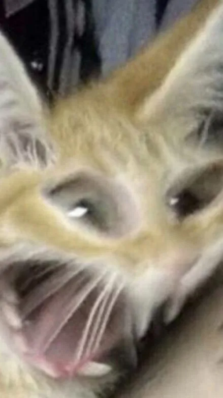 ai character: MultifandomTherapy background