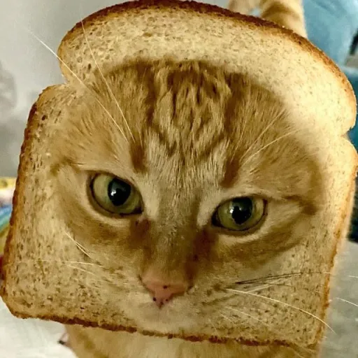 creator 🍞Toastada🍞's avatar