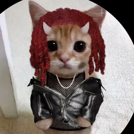 talkie's author avatar