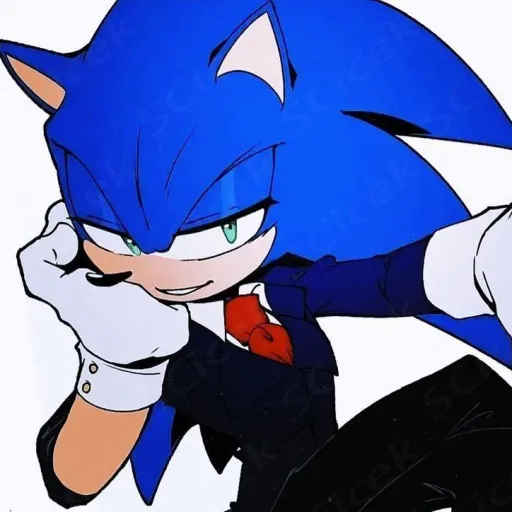 creator ™sonic officials®'s avatar