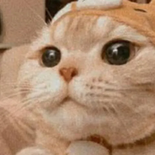 creator ETHEL!!!'s avatar