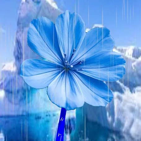 creator 🧊IceFlower🌺's avatar
