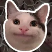 creator The polite cat.'s avatar