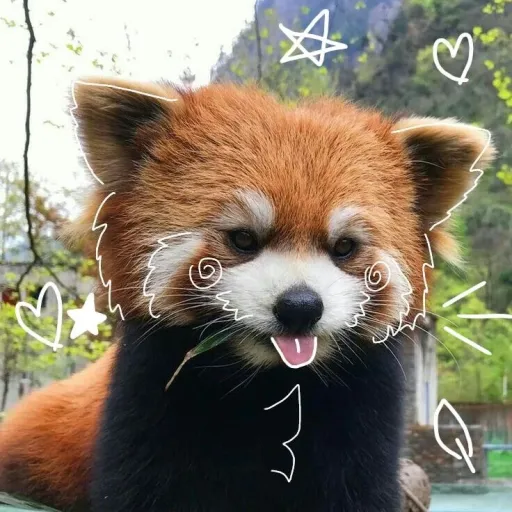 creator ✯🐼Mei🐼✯'s avatar