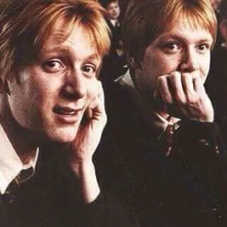 chat with ai character: Fred and George 