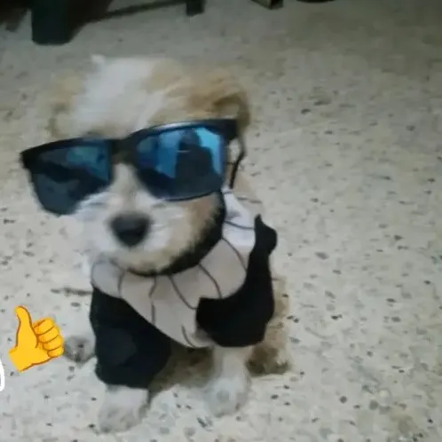 creator El max😨😨's avatar
