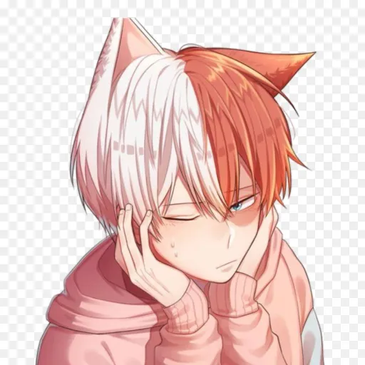 creator 🧊🧊🧊cat todoroki🔥🔥🔥's avatar