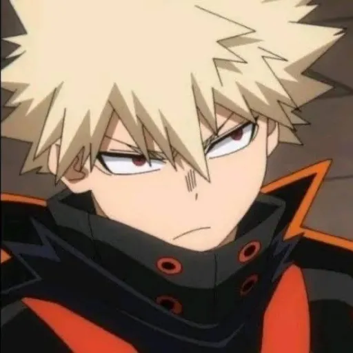 creator ✨Bakubro✨'s avatar
