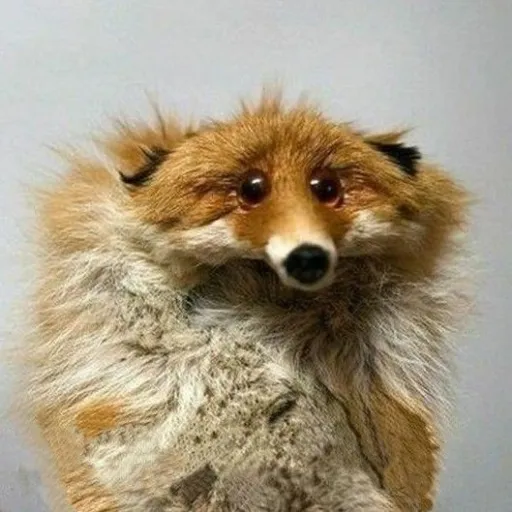 creator userssmile's avatar