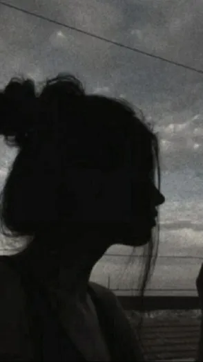 ai character: Y/n Lupus background