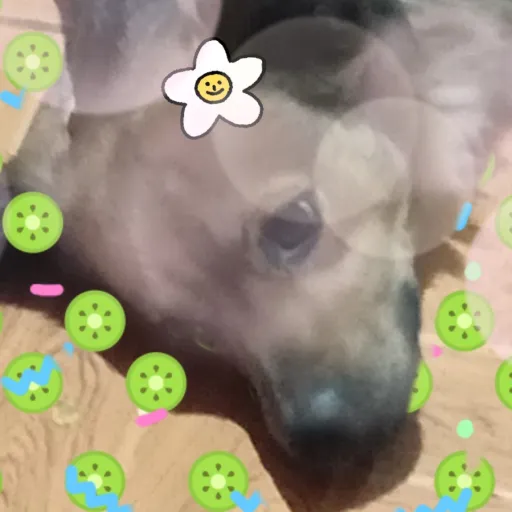 creator Ángela184659's avatar