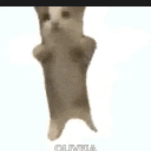 creator chillguy3344's avatar