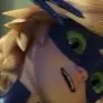chat with ai character: cat nior