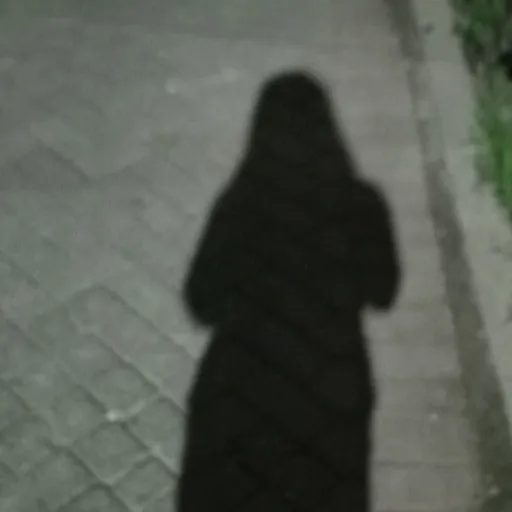 creator julieru's avatar
