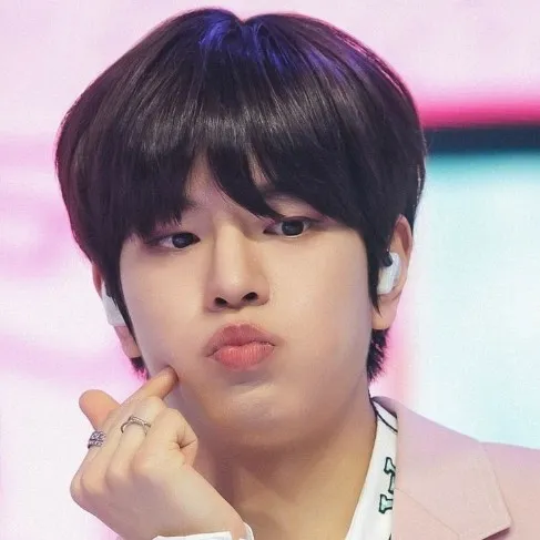 creator Seungmin's wife🫰's avatar