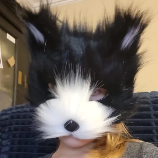 creator ~*little fool*~'s avatar