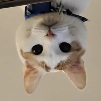 creator SharkbiteJaws's avatar
