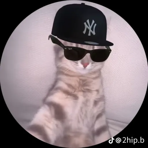 creator 𓆩亗 𝔄𝔰𝔥𝔩𝔢𝔶 亗𓆪's avatar