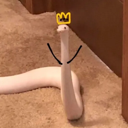 creator Lemonella's avatar