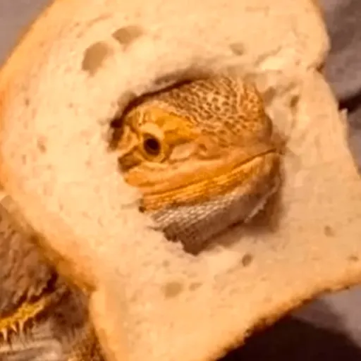 creator IdkuserIguess's avatar