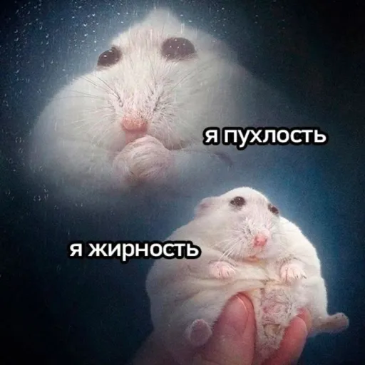 creator 🥗кто я's avatar