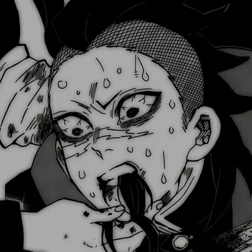 creator tortilla72292's avatar