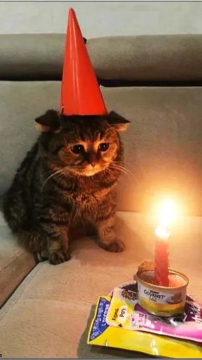 ai character: Cabaret RP!  background