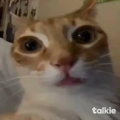 creator 😼~Meowie~😼's avatar