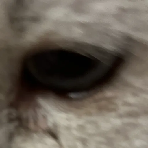 creator Emoş21's avatar