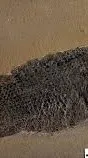 ai character: Devonian background