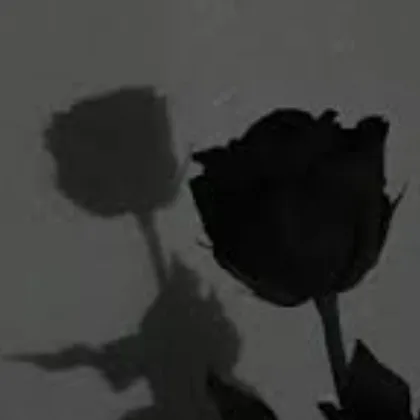 creator maeking2211's avatar