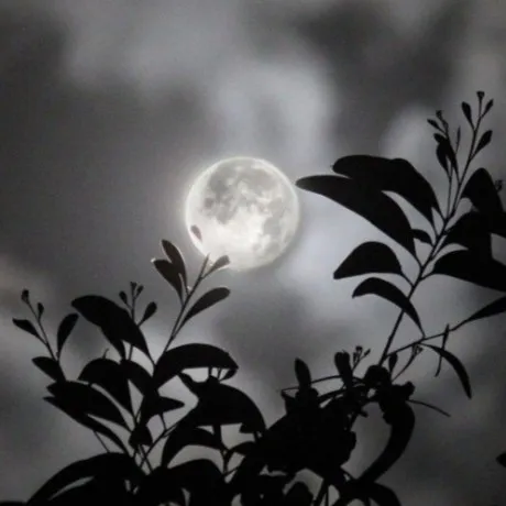 creator Yoongi Marry Me~♡'s avatar