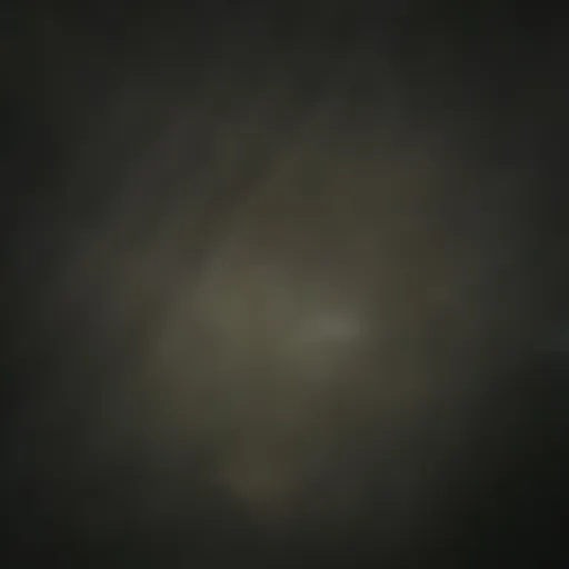 creator David mikkelson's avatar