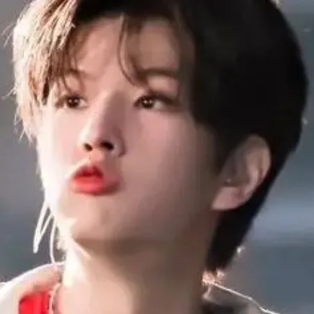 creator Skz loves stay❤️❤️'s avatar