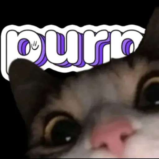 creator purped's avatar