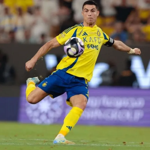 creator Feikl's avatar