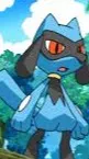 ai character: Riolu background